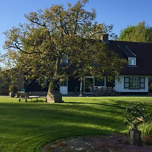 https://logies-de-meerkoet.bruges-hotels.info